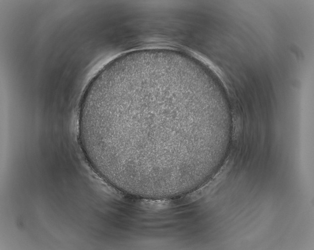 X0000112041415200908311227