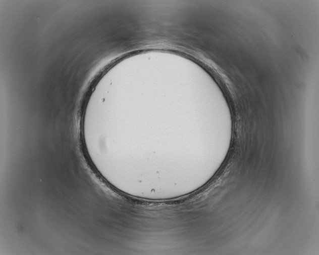 X0000112041416200908311227