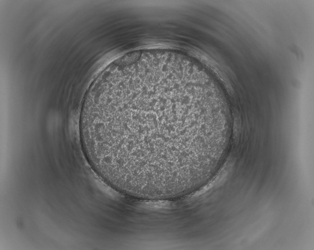 X0000112041417200908311227