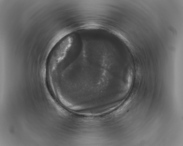 X0000112041418200908311227