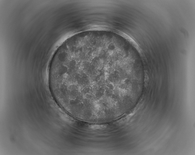 X0000112041419200908311227