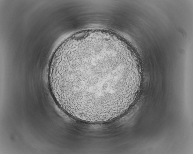 X0000112041421200908311227