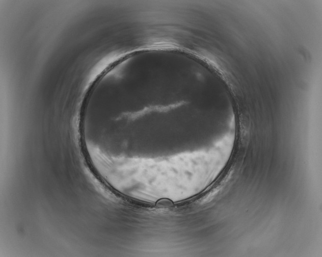 X0000112041422200908311227