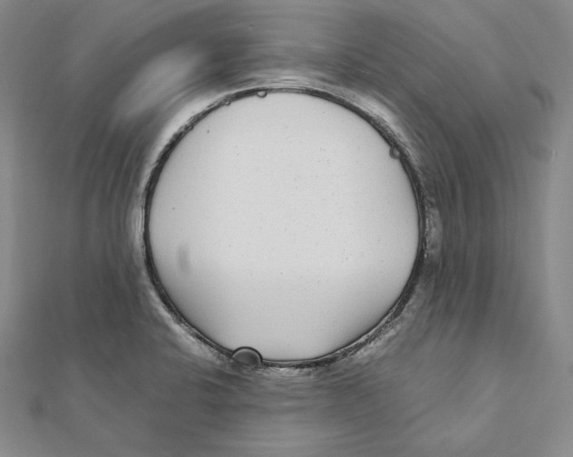 X0000112041424200908311227