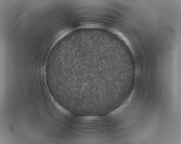 X0000112041425200908311227