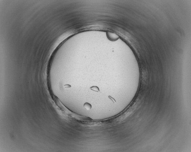 X0000112041426200908311227