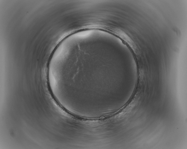 X0000112041428200908311227