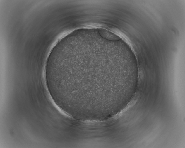 X0000112041429200908311227