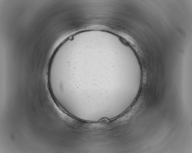 X0000112041430200908311227
