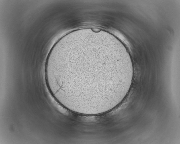 X0000112041431200908311227