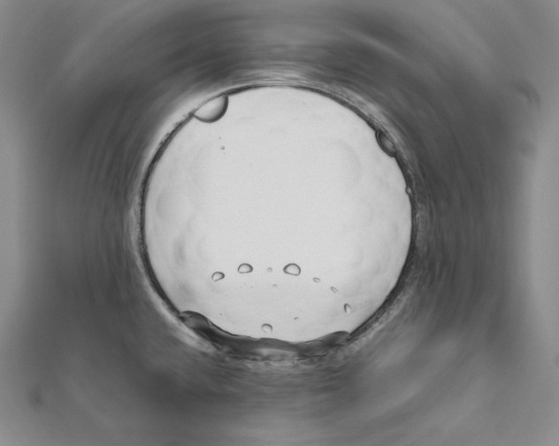 X0000112041432200908311227