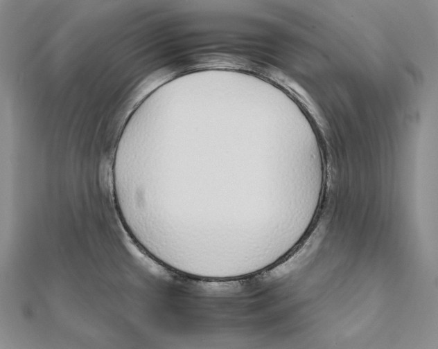 X0000112041433200908311227