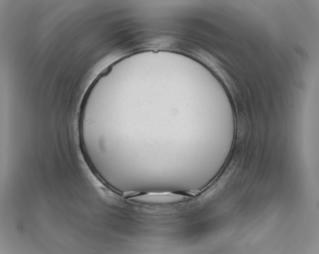 X0000112041434200908311227
