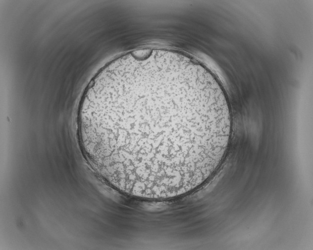 X0000112041435200908311227
