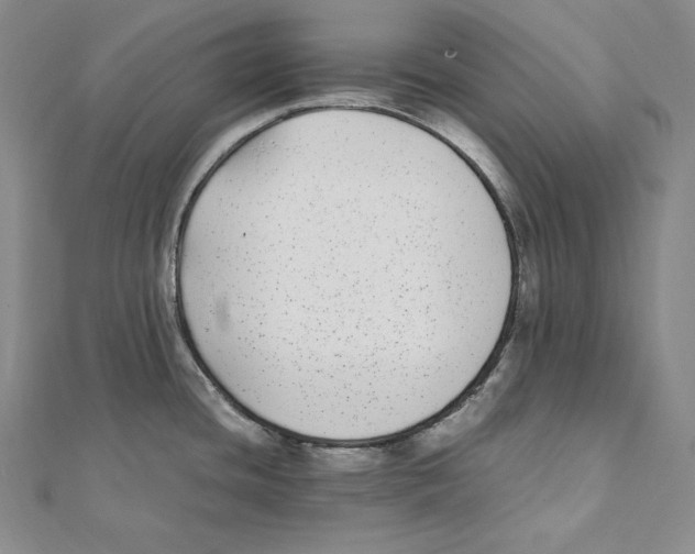 X0000112041436200908311227
