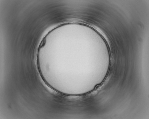 X0000112041437200908311227
