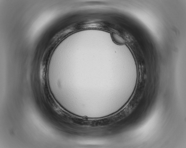 X0000112041438200908311227