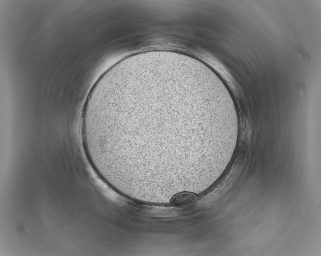 X0000112041439200908311227
