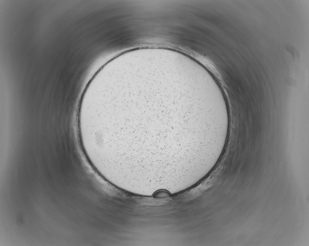 X0000112041440200908311227