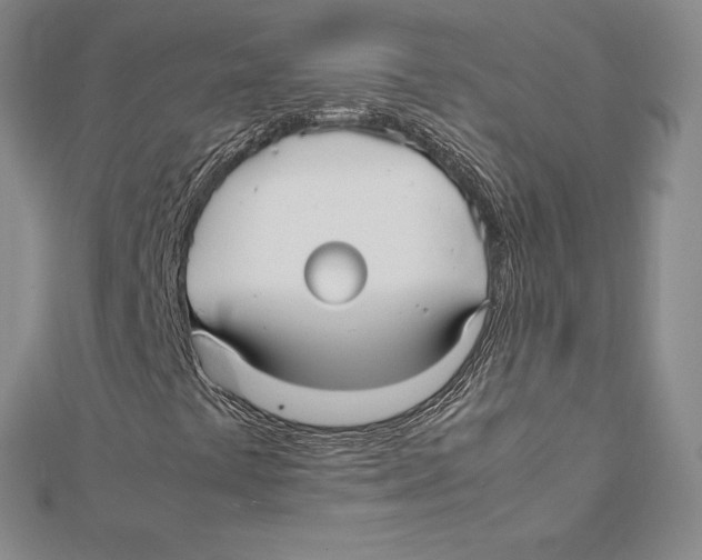 X0000112041441200908311226