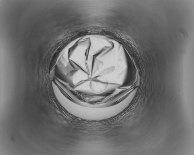 X0000112041445200908311226