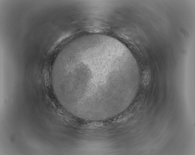 X0000112041446200908311226