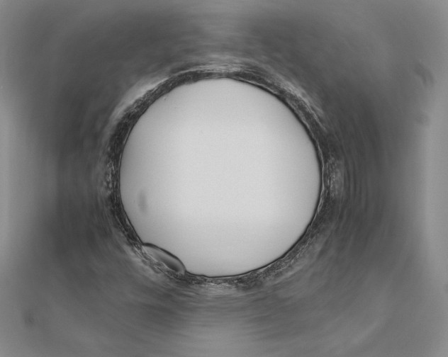 X0000112041448200908311226
