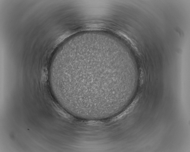 X0000112041449200908311226