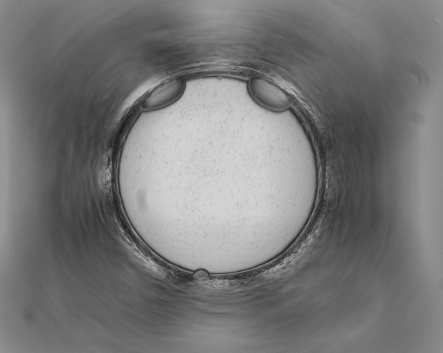 X0000112041450200908311226