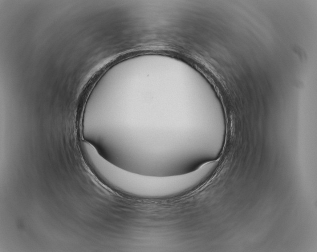 X0000112041452200908311226