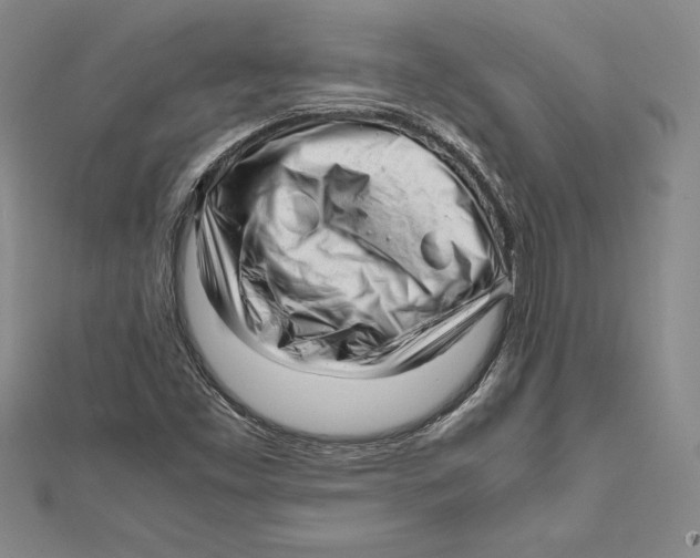 X0000112041453200908311226