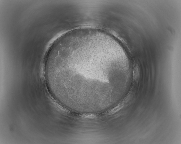 X0000112041454200908311226