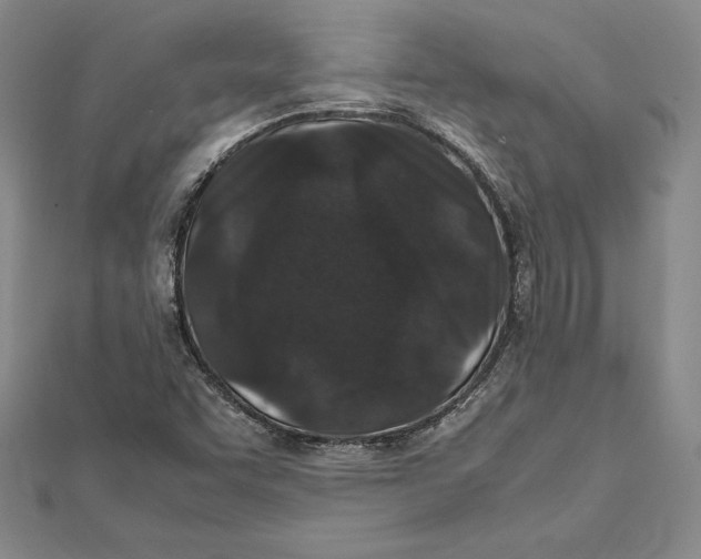 X0000112041455200908311226