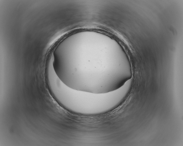 X0000112041456200908311226