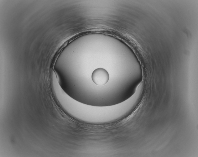 X0000112041457200908311226