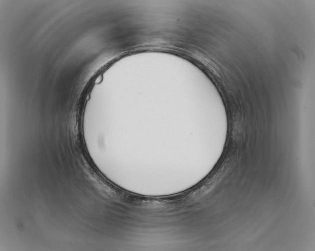 X0000112041458200908311226