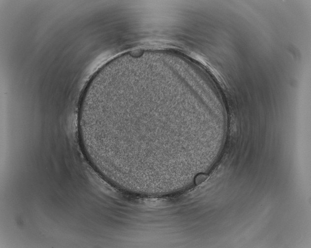 X0000112041459200908311226