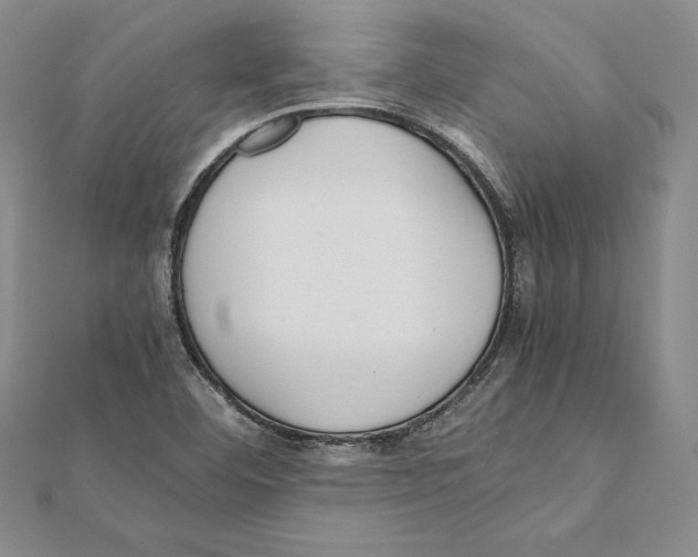 X0000112041460200908311226