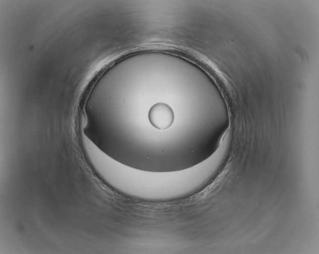 X0000112041461200908311226