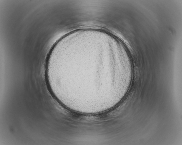 X0000112041463200908311226