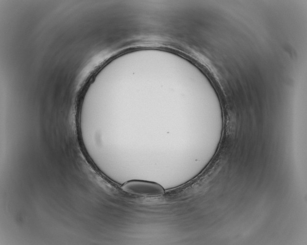 X0000112041464200908311226
