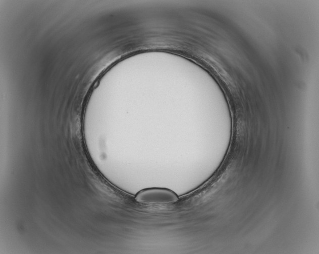 X0000112041465200908311226