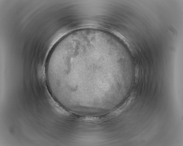 X0000112041466200908311226