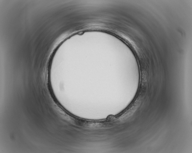 X0000112041467200908311226