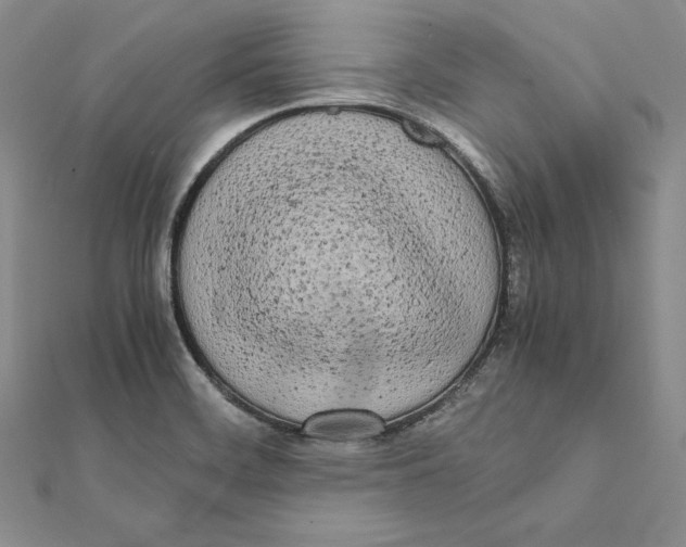 X0000112041468200908311226