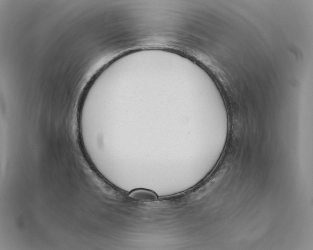 X0000112041469200908311226