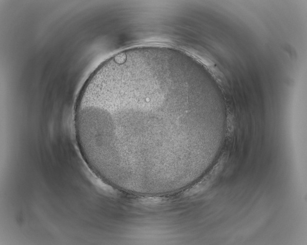 X0000112041470200908311226