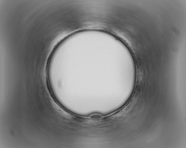 X0000112041471200908311226