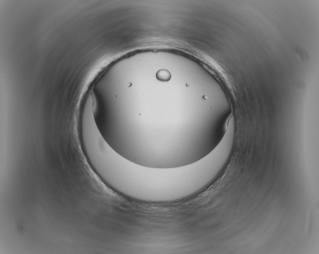 X0000112041472200908311226
