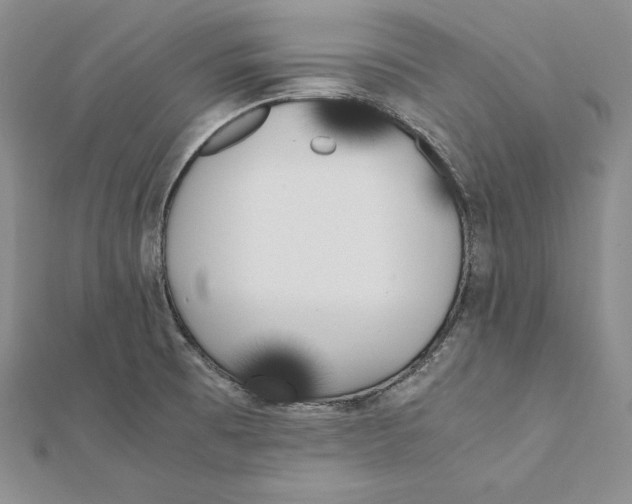X0000112041473200908311226